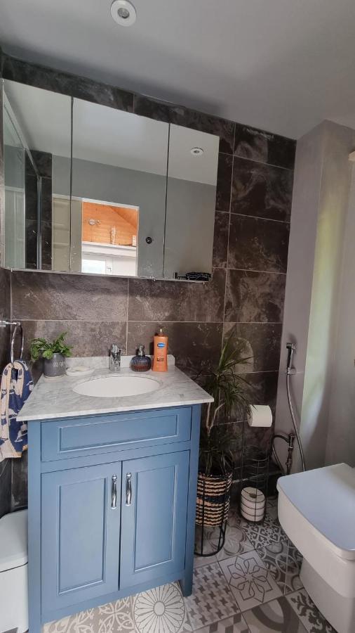 Glebe House, Private Entrance, Free Parking On Drive, Self Check In, Netflix Bed & Breakfast Ashford  Exterior photo