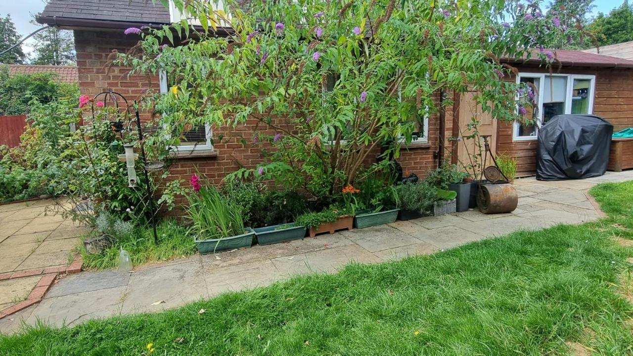 Glebe House, Private Entrance, Free Parking On Drive, Self Check In, Netflix Bed & Breakfast Ashford  Exterior photo